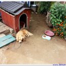 강화 호수의 집 이미지