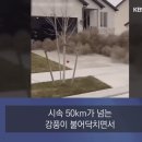 ■ 회전초 때문에 난리난 미국 서부 이미지