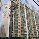 e-푸른치과의원 네이버블로그