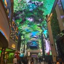 고래게임랜드 이미지