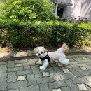 소화유치원 이미지
