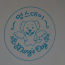 데이멍스 이미지
