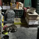 뚝방카센타 이미지