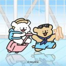 (주)포시즌여행사 | W-8.3 우리의 허니문 확정!!!!