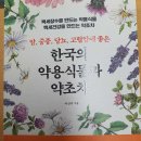 백세장수약초