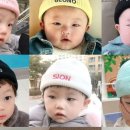 팜파스리조트 네이버블로그