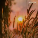 은성고시원
