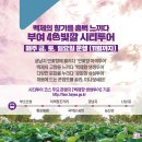 싱싱투어 이미지