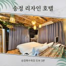 송정중앙로 20 | 송정해수욕장 숙소 추천 리자인 호텔 스위트룸 방 2개 투룸 객실 후기