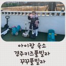 꾸꾸풀빌라 이미지