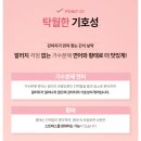 전주동물약국 | 강아지 피부병 예방에는 &#39;보약먹는 강아지 한방 피부보감&#39;급여후기