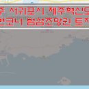 [제주도 토지매매] 서귀포시청인근 토지매매 / 제주혁신도시 토지매매 / 범섬 조망권 오션뷰 토지매매 / 대로변 코너 토지매매 이미지