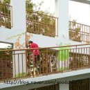 바오로어린이집 이미지