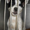 서림동-14 이미지