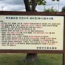 마사 | 김해 조용한 파크골프장 찾는다면? 마사 파크골프장 방문 후기