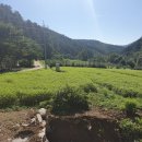 청주건설중기 이미지