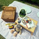 샐러드요 | 시민공원 샌드위치 샐러드 피크닉대여 후기 그린피크닉