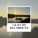 영천농협 화북지점 하나로마트 | [대구 근교 노지캠핑] 노을뷰가 멋진 &#34;영천 임고강변공원&#34;