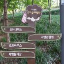 사직공원 유아숲 네이버블로그