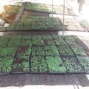 들샘농장 이미지