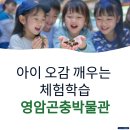 영암곤충박물관 곤충·파충류 만지기 아이 오감 깨우는 체험학습