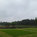 스크린 씽글, 필드 보기플레이어 지향, 골린이의 골프 일기(2024.04.25, 목), 금강CC 후기