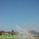 내장산약국 이미지