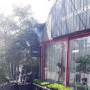 원통골농장 | 봄맞이 미니 가드닝 클래스 _다육식물로 《나만의 유리정원 만들기》at 식물팩토리