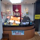 나비 불한증막 이미지