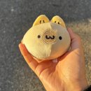 포지전자 이미지