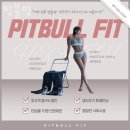 핏불핏 이미지