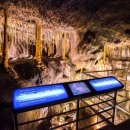 세계자연유산센터 이미지