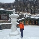 산들바람 이미지