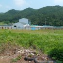 칠갑산 도림온천 이미지