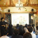 낭만고양이병원 이미지