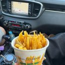 태평한 대평 이미지