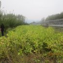 자원농장 이미지