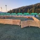 아트펫 갤러리 이미지