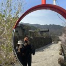 화개햇살민박 이미지