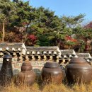 (선착순)설 연휴 한복 이벤트 | 에버랜드 설 연휴 이벤트 총정리｜포춘마켓(운세·타로) + 전통놀이 + 한복우대 혜택 한눈에