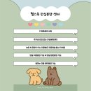 블리독수유점 고양이강아지분양 말티푸 미니비숑 포메라니안 | 수원 강아지 분양 추천! 실물 보고 반한 미니비숑 후기