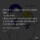 레오밀당쩔어 버뮤다 501 이미지