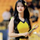 ✨ 23살의 신예 치어리더 정설아, 그녀에게 시선이 쏠리는 이유