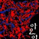 진상가든 이미지