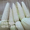 큰그루스토어 | 쫀득한 백찰옥수수 내돈내산 후기, 싱그루 스마트스토어에서 주문해본 솔직 리뷰