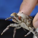 장흥중학교 이미지