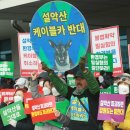 설악산 이미지