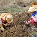 산골편의점 이미지