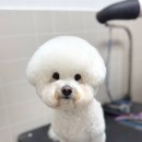 베리굿동물병원 이미지