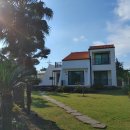 제주도메모리아풀빌라가족펜션 | 제주도 성산 서귀포 펜션, 네이플하우스 지중해풍 독채풀빌라 후기